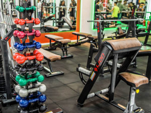 academias de sucesso lion fitness
